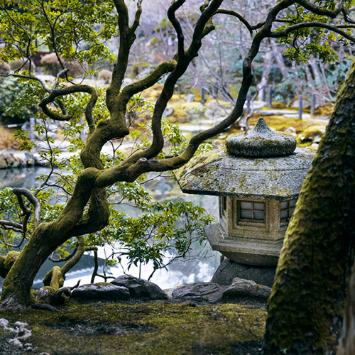 Contacta Rincón Japón