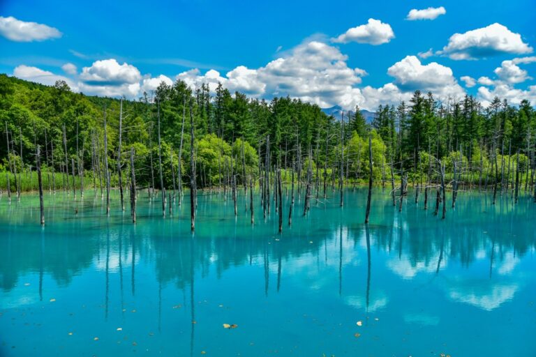 Blue Pond. El Estanque Azul de Hokkaido