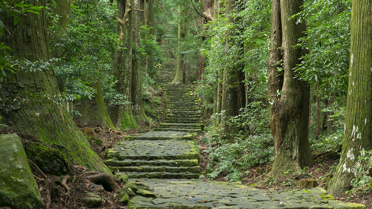 El Camino de Kumano Kodo en Japón