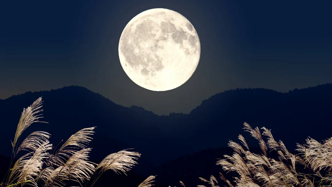 Tsukimi, el Festival de la Luna en Japón